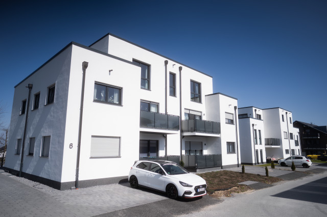 Stallbusch in Haaren