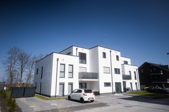 Stallbusch in Haaren