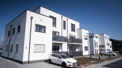 Stallbusch in Haaren